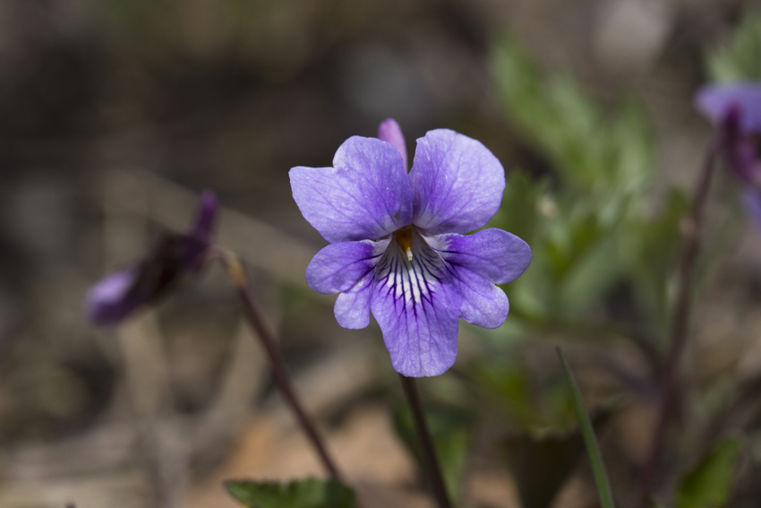 b0167256_2244428.jpg