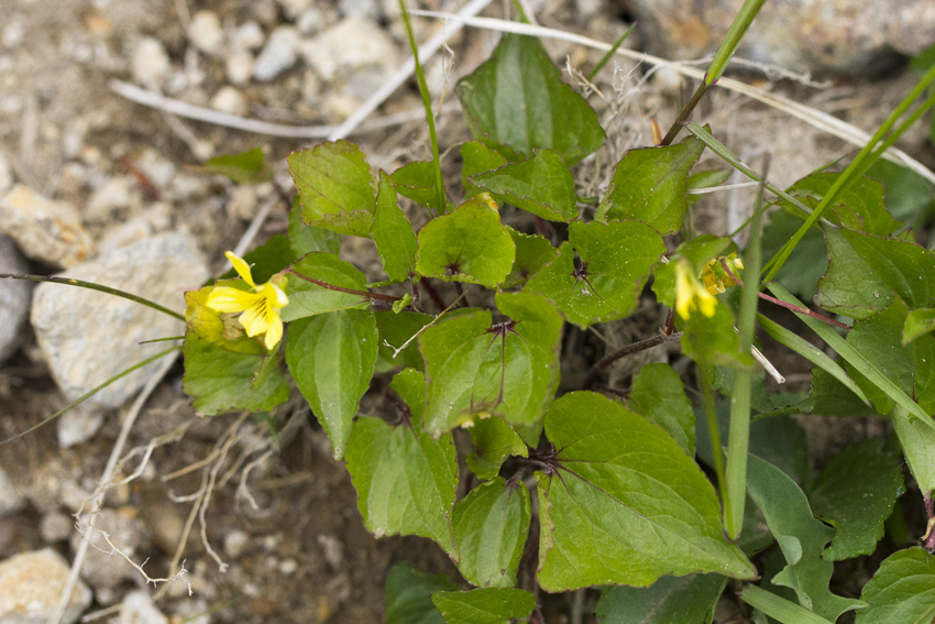 b0167256_2252179.jpg