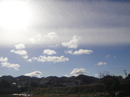 c0108460_12285625.jpg