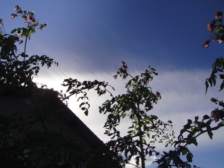 c0108460_12311875.jpg