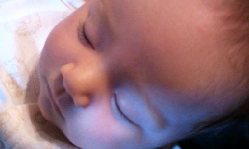 a0134562_2051382.jpg