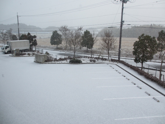 雪だるま,そして近くの温泉へ_b0100062_113857.jpg