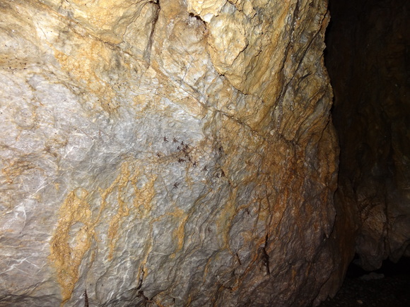 c0245666_213956.jpg