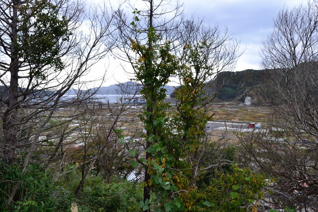 私が撮った写真～10月の大槌町_d0108569_18325267.jpg