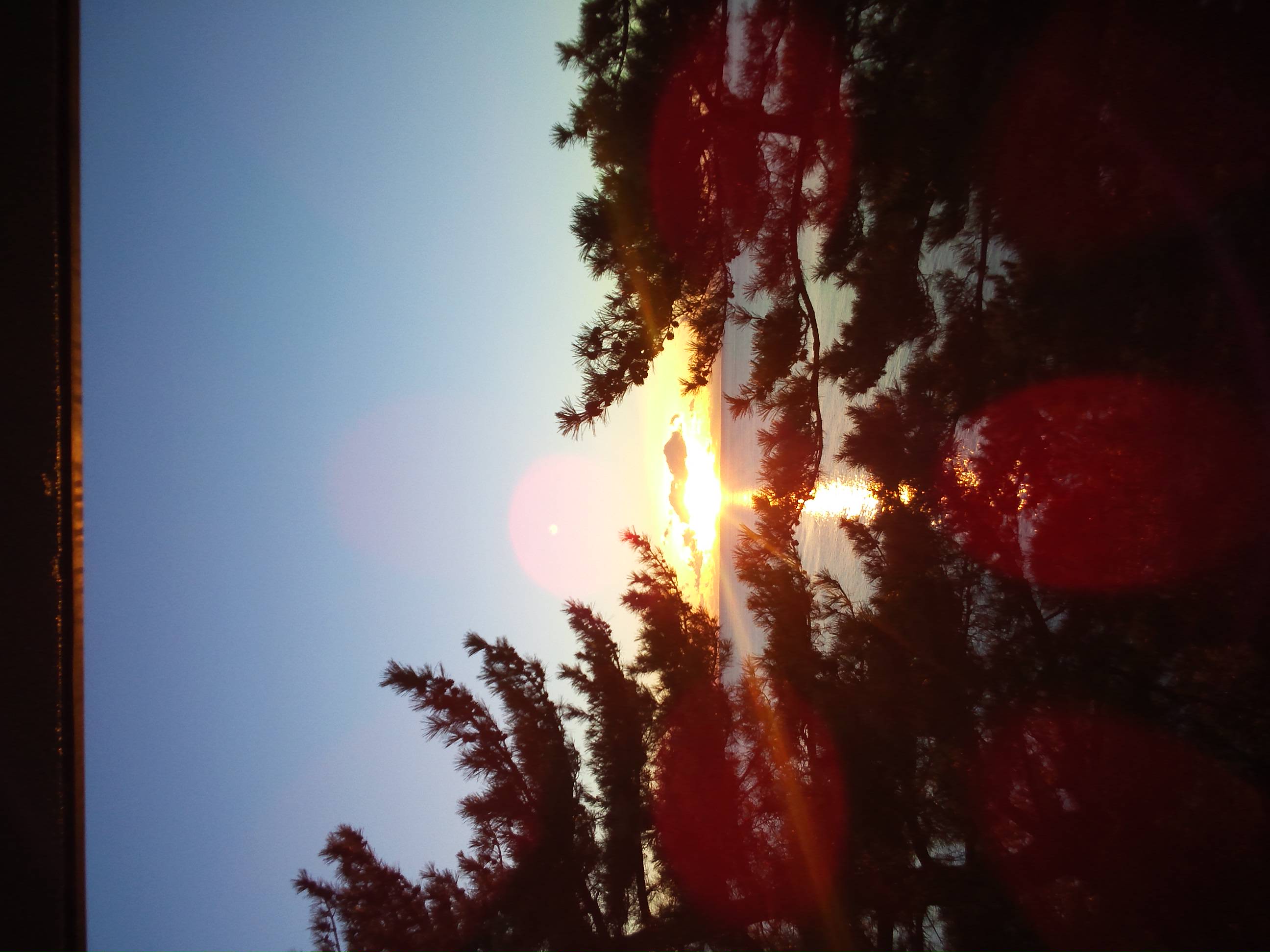 f0207969_21718.jpg