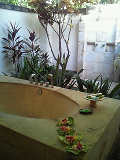 b0208577_8494932.jpg