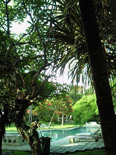 b0208577_8494993.jpg