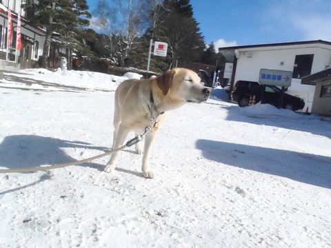 正月三日　父さんはキコリ_f0052277_0201216.jpg