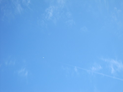 e0254678_16485969.jpg