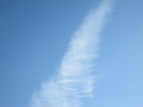 e0254678_16492060.jpg