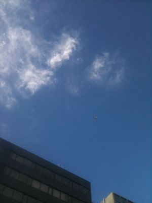 c0205379_8272069.jpg