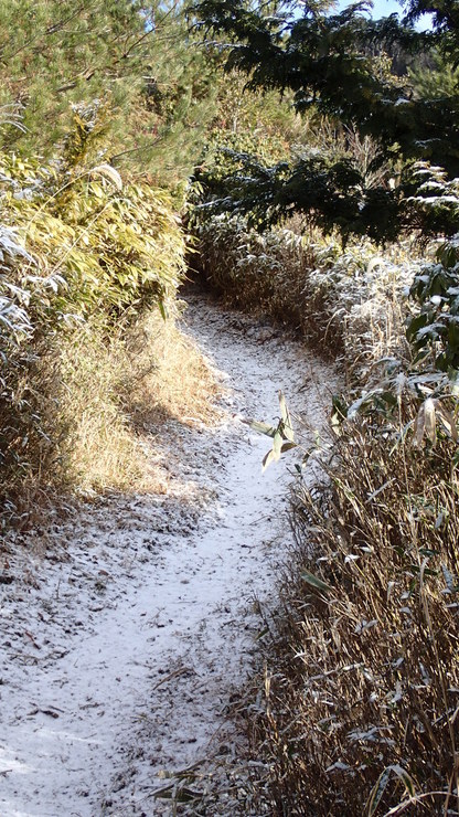 e0024081_192012100.jpg