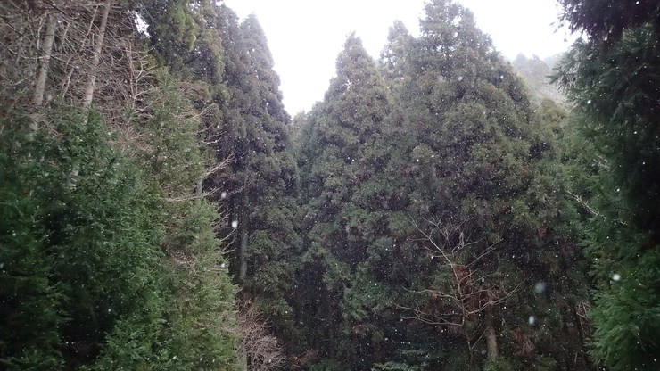 e0024081_19275593.jpg