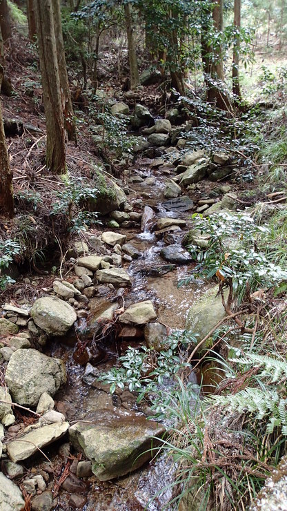 e0024081_19282949.jpg
