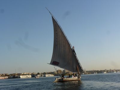 f0169885_46521.jpg