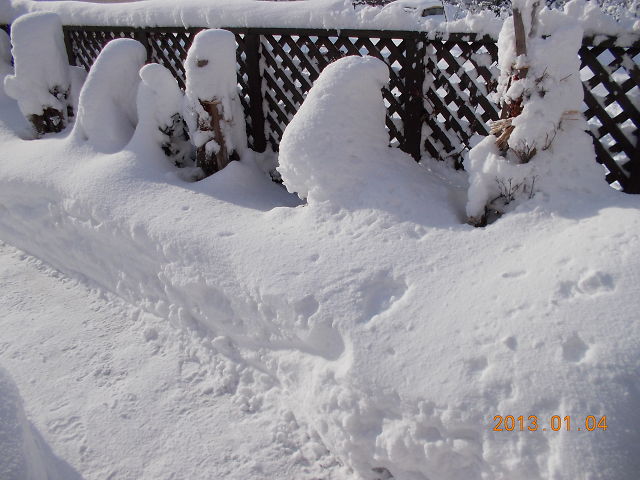 大雪続く日_a0007388_171522.jpg