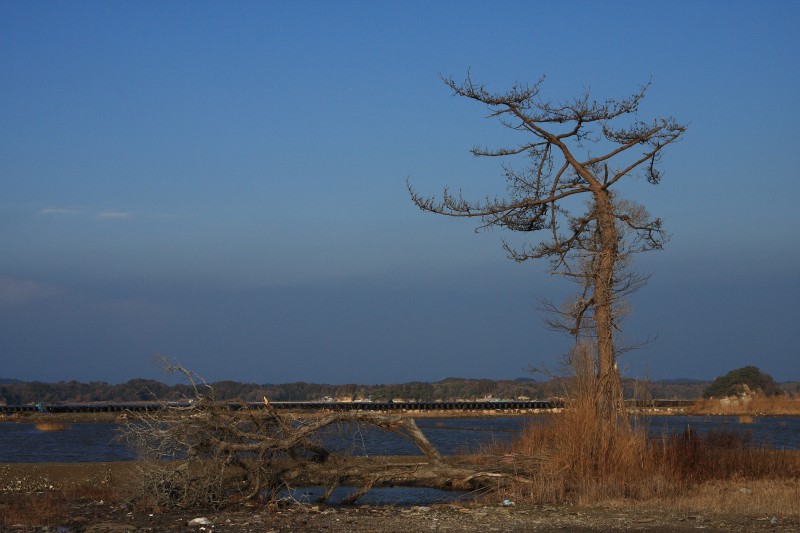 f0129994_13442351.jpg