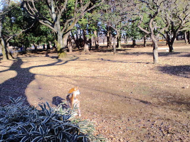 e0025596_2245271.jpg