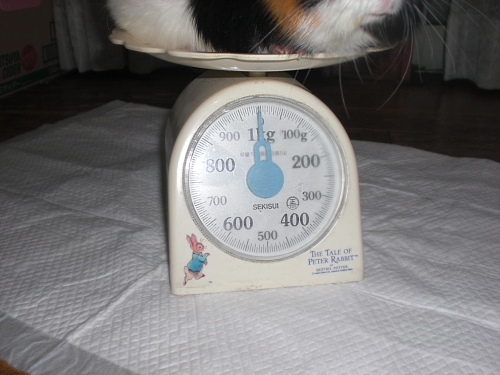c0241498_2353299.jpg