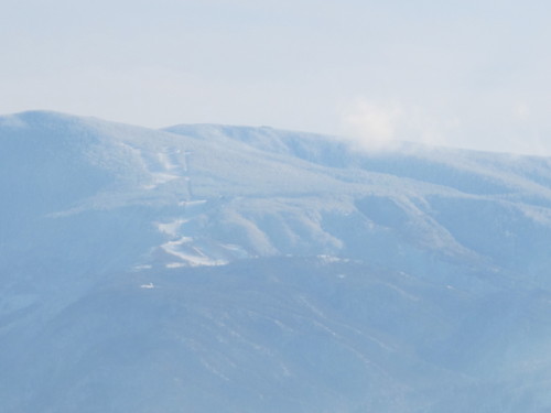 雪の晴れ間、散歩を楽しむ（１）_c0075701_20171648.jpg