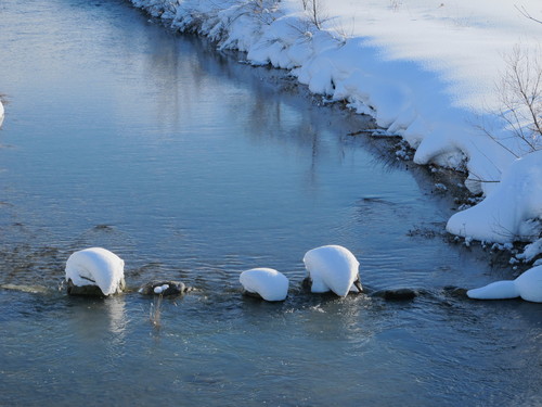 雪の晴れ間、散歩を楽しむ（１）_c0075701_2017856.jpg