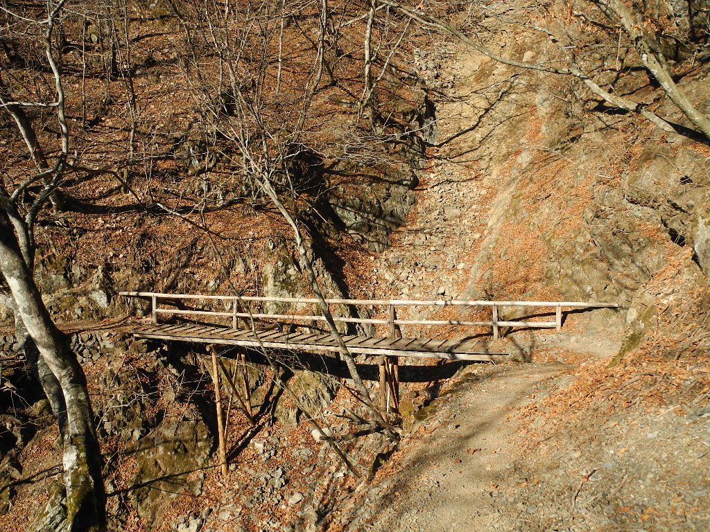 a0158802_18163177.jpg