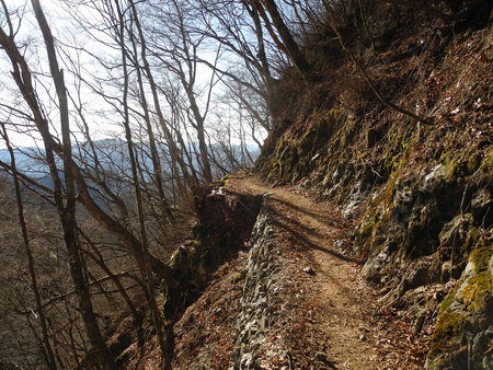 a0158802_18185643.jpg
