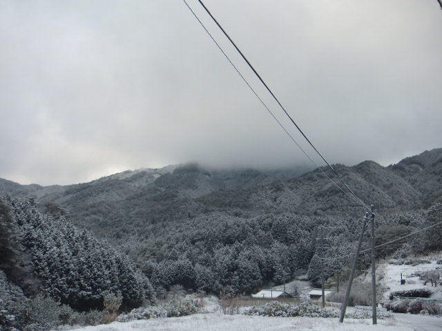 a0271502_7143537.jpg