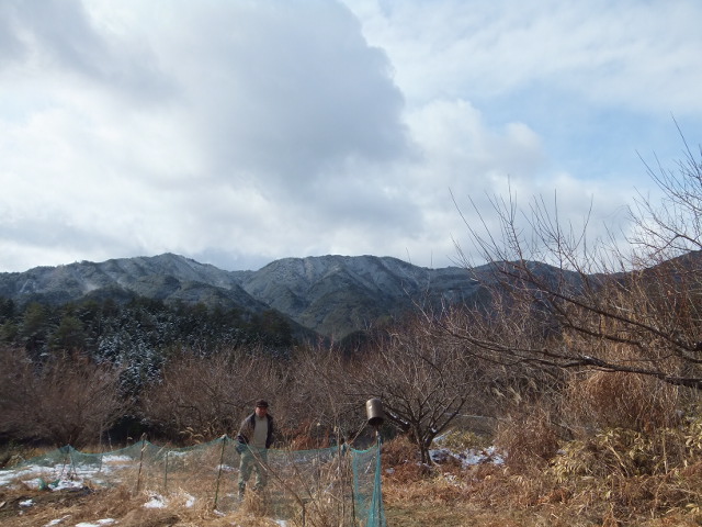 a0271502_824645.jpg