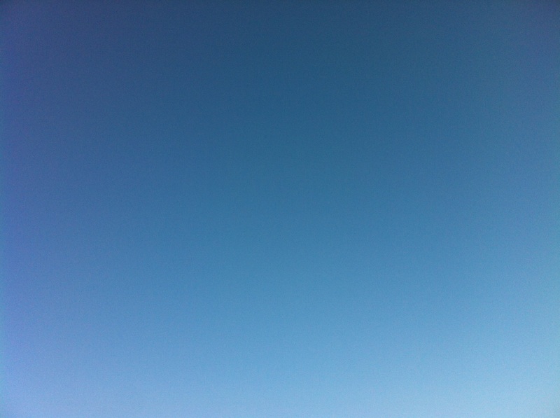 c0180209_19201979.jpg