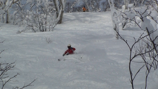 f0128410_17591716.jpg