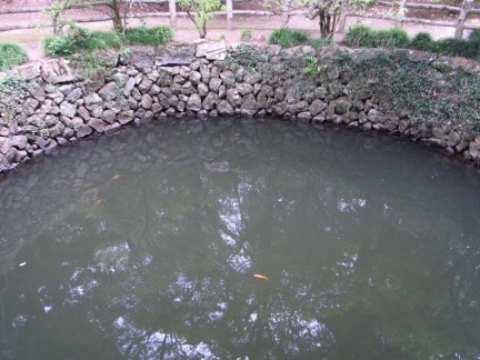 c0051112_13472655.jpg