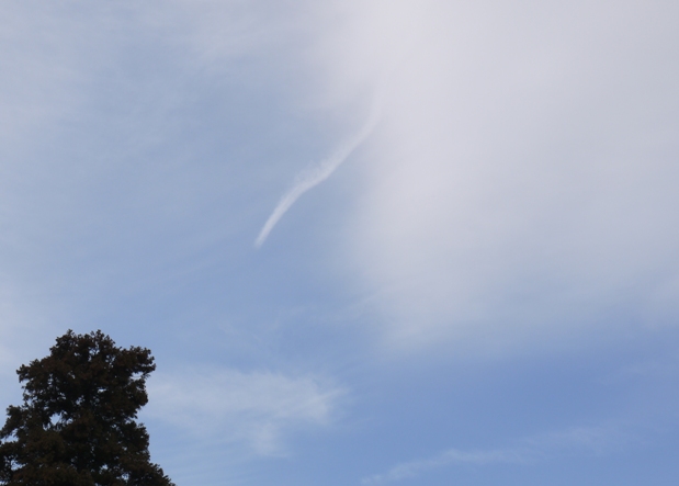 d0269415_1741934.jpg