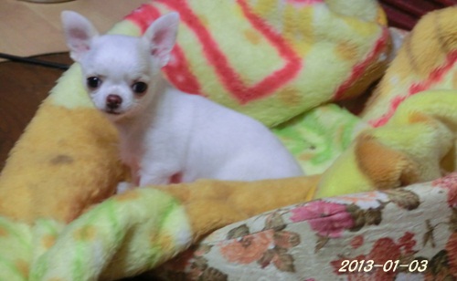 c0200916_0243399.jpg