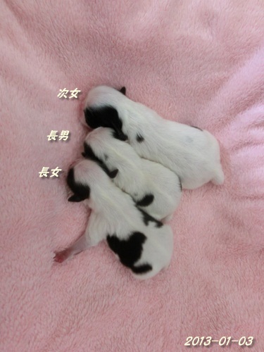 c0200916_036079.jpg