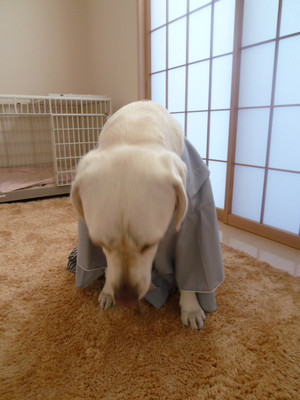 c0240318_0443054.jpg