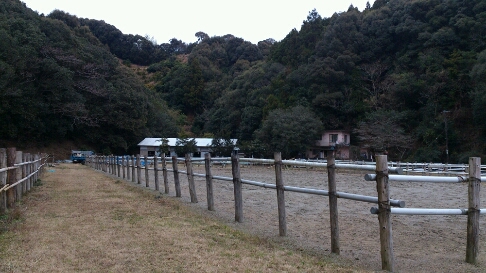 b0187620_21152850.jpg