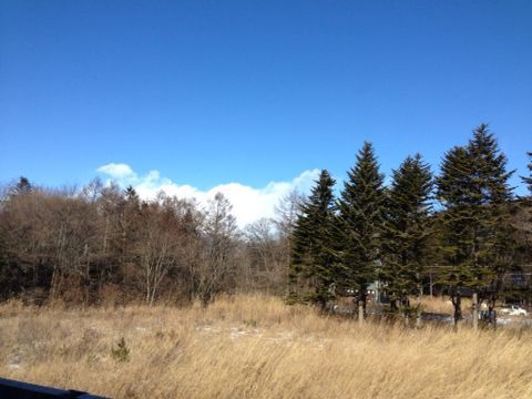 c0190424_2215028.jpg