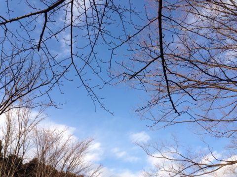 c0190424_2215134.jpg