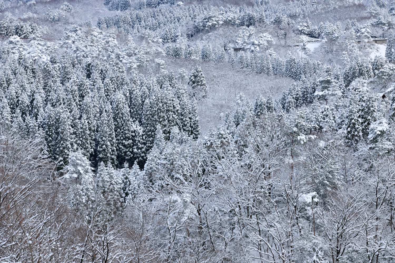c0220824_2091238.jpg