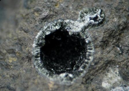 d0045626_21434699.jpg