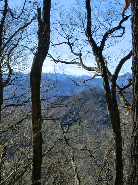 2013初登山 陣馬山　2013.1.4_d0130927_13205622.jpg