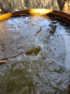d0130927_13254479.jpg