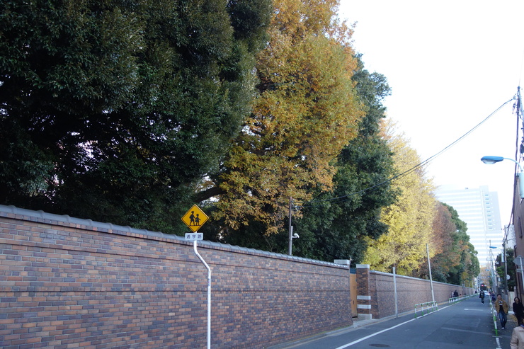 a0287336_21124489.jpg