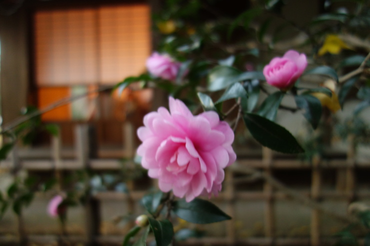 a0287336_212147.jpg
