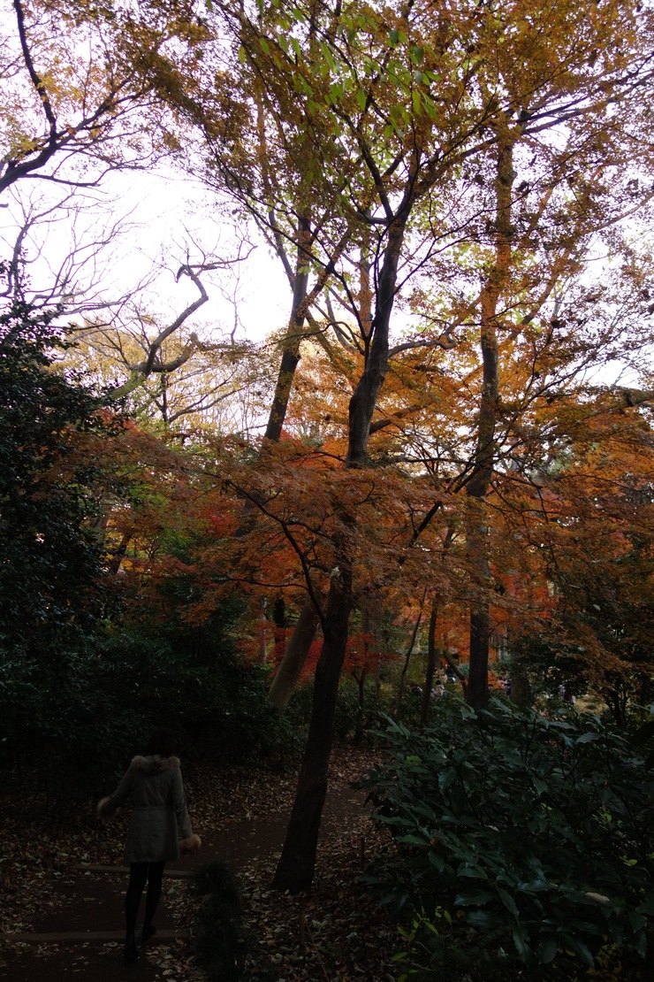 a0287336_2123358.jpg