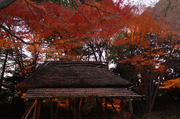 a0287336_212829100.jpg