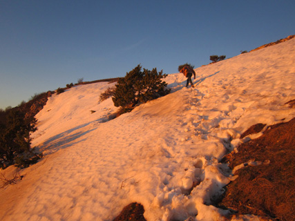 f0234936_70115.jpg