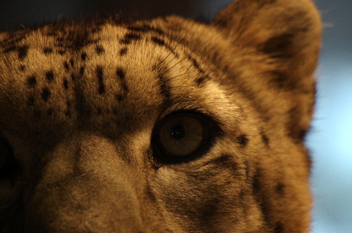 欲張り過ぎて動物園_a0136438_20265930.jpg