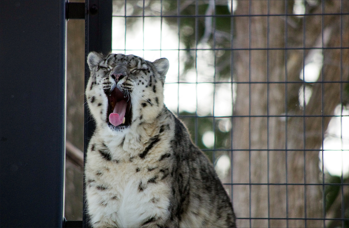 欲張り過ぎて動物園_a0136438_20272182.jpg